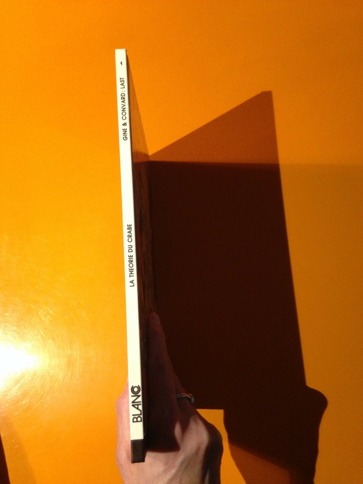 Picture 3 of 8