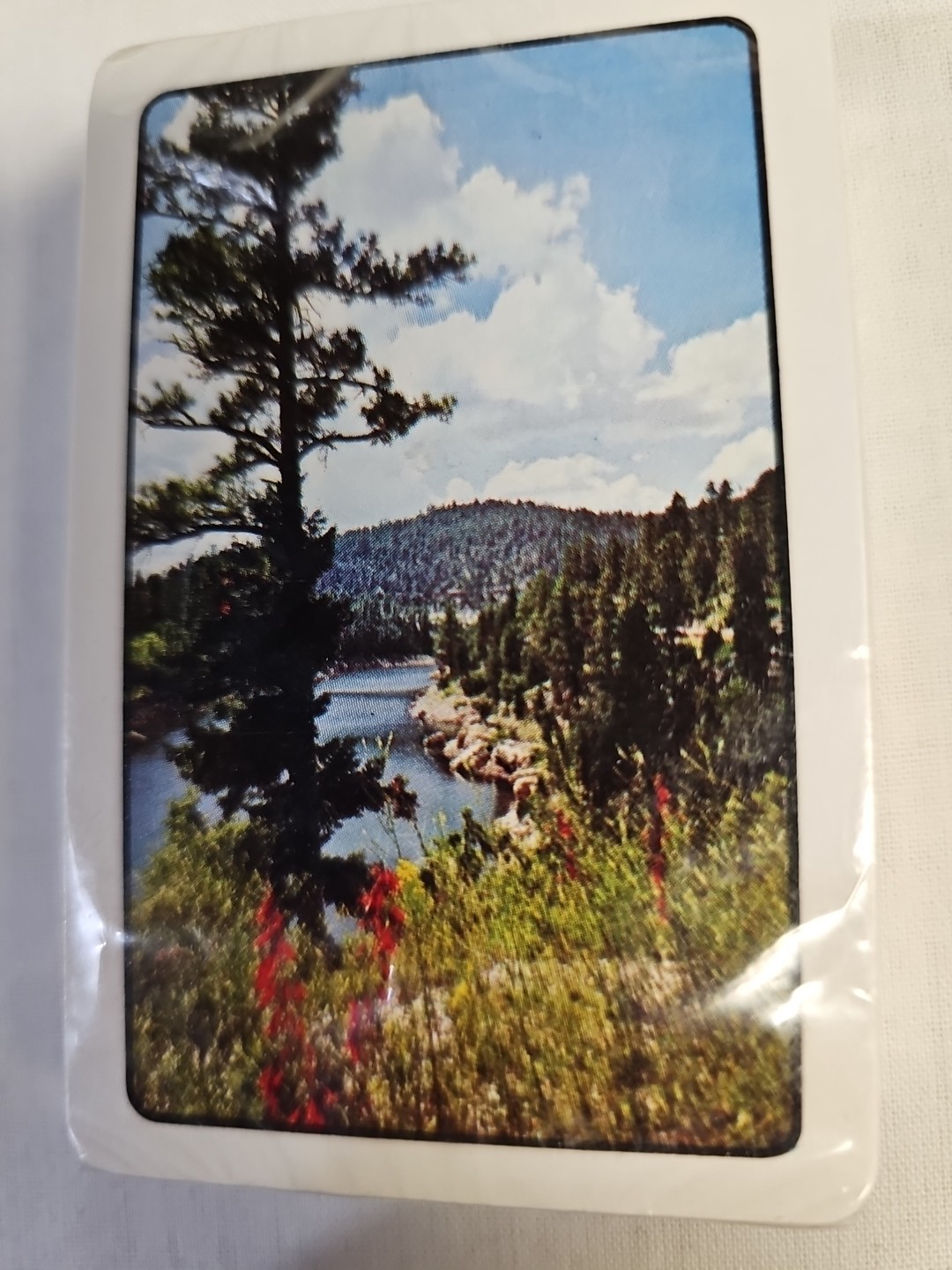Sealed Vintage Scenic Wilderness Forest Playing Cards The U.S. Playing Card Co. 