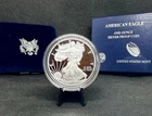 2013-W Proof American Silver Eagle with OGP (No COA) 1 Oz .999 Silver!