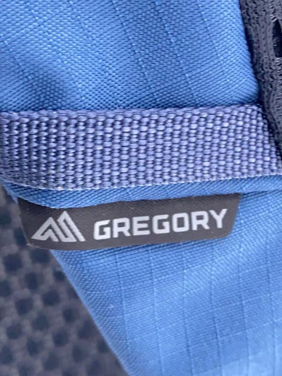 GREGORY Backpack Blue Solid - image 5