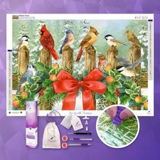 Dreamer Designs Winter Fence Diamond Painting Kit Sealed NEW