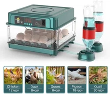 10-130 Egg Digital Poultry Hatcher Machine Automatic Egg Incubator