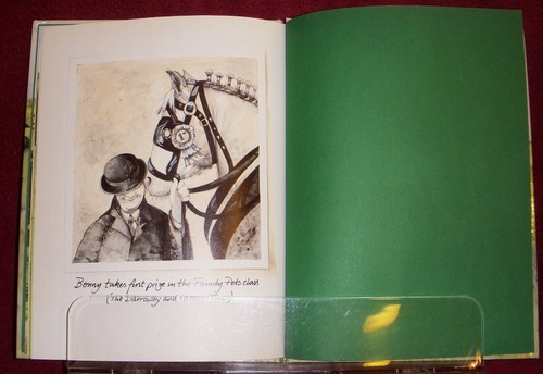 Bonnys Big Day 1987 James Herriot Children Horses - Picture 12 of 12