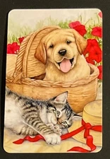 (2Z) Modern swap card of a cute cat & dog together