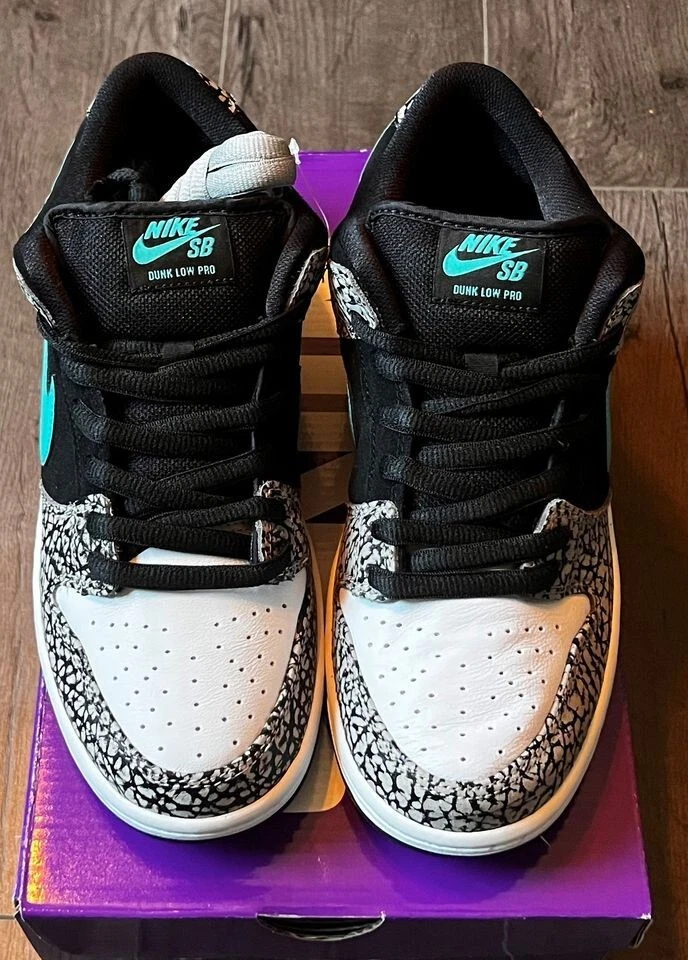Nike sb hotsell size 5