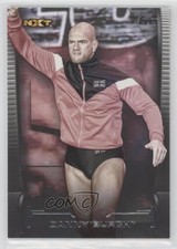 2021 Topps WWE Undisputed Danny Burch #52 ez4