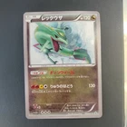 Rayquaza XYP 100/XY-P Illustration Promo  Japanese Pokemon Card
