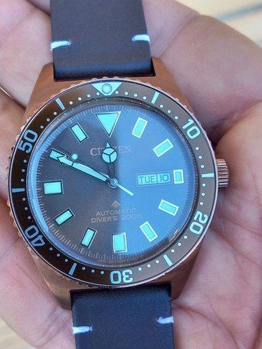 Citizen Promaster Diver Automatic - Bronze Color