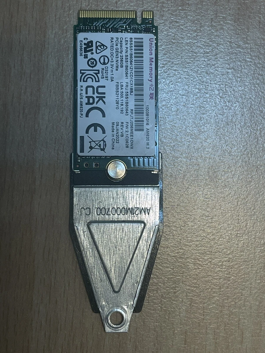 Brand new 256GB M.2 2242 NVMe PCIe GEN3 Internal SSD | eBay