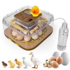 Gen IV - 12 Egg Fully Automatic Incubator, 2026 Upgraded Design, Intelligent ...