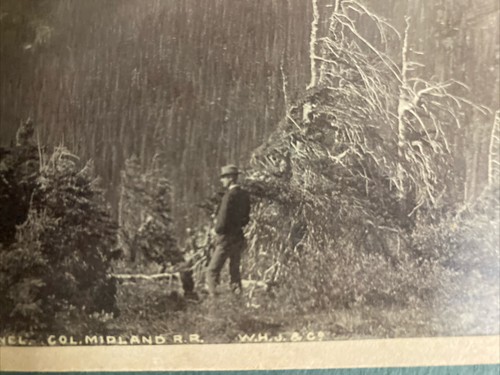 William Henry Jackson Photograph Denver,Colorado 1880’s - Picture 6 of 6