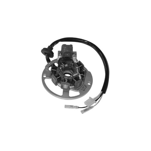 Stator Motor Yamaha-Minarelli Horizontal Roller 50 2T | eBay