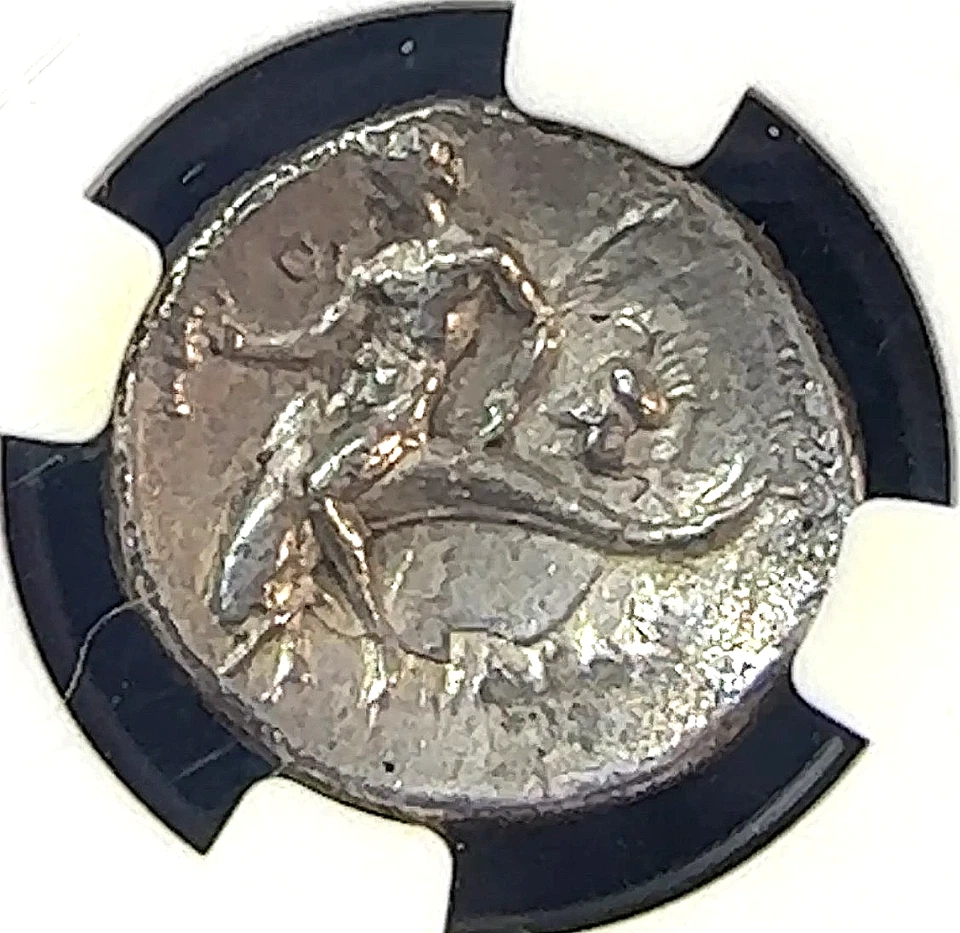 281-240 aC Calabria, Taras Didrachm NGC AU Belleza Nueva Losa Mejor Precio eBay* CHRC Foto 3 de 3
