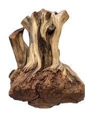 Large 21 lbs Manzanita Driftwood Stump for Aquascaping, Reptiles, Decor, Crafts