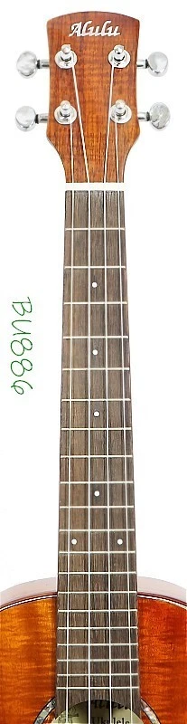 Alulu Solid Curly Acacia Koa Tenor Ukulele BU886 - Image 4 of 4