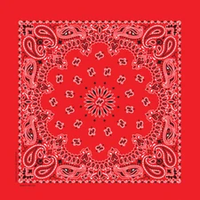 Carolina Creative Bandanna (Red) Paisley Print 35" x 35" Hav-A-Hank X-Large