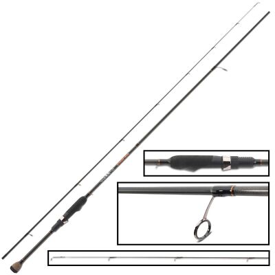 IRON TROUT Spooner 198cm 0,5-6g - Spoonrute zum Forellenfischen, Spinnrute