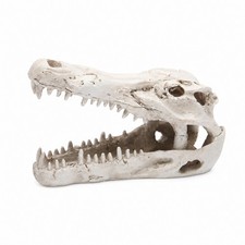 Sch&auml;del aus Kunstharz ungiftig Totenkopf aus Harz robust f&uuml;r Aquarianer