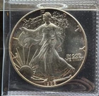 Better Date 1988 American Silver Eagle 1 Troy Oz .999 Fine Silver ~ Lot N