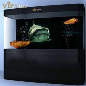shark aquarium decorations