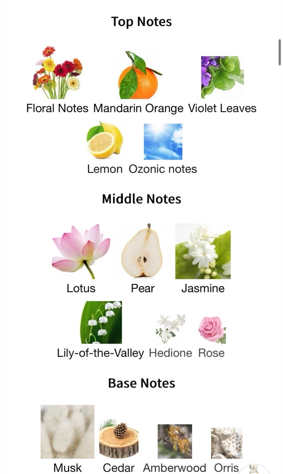 My Fifth Avenue By Elizabeth Arden EDP Spray 1.7 Oz 30 mL W/out Box, Lovely! - Image 4 of 4