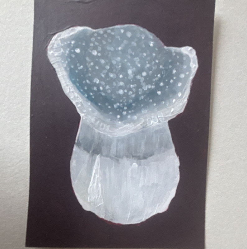 Starry night APE ACEO 2.5x3.5 Mushroom 