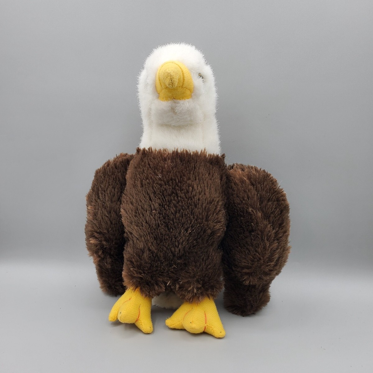American Bald Eagle Brown White 10
