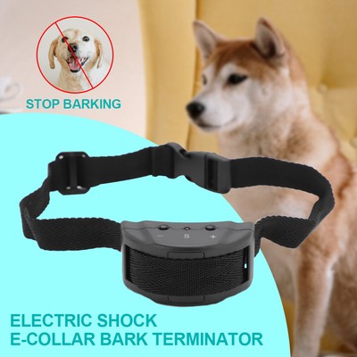 training collar with bark control