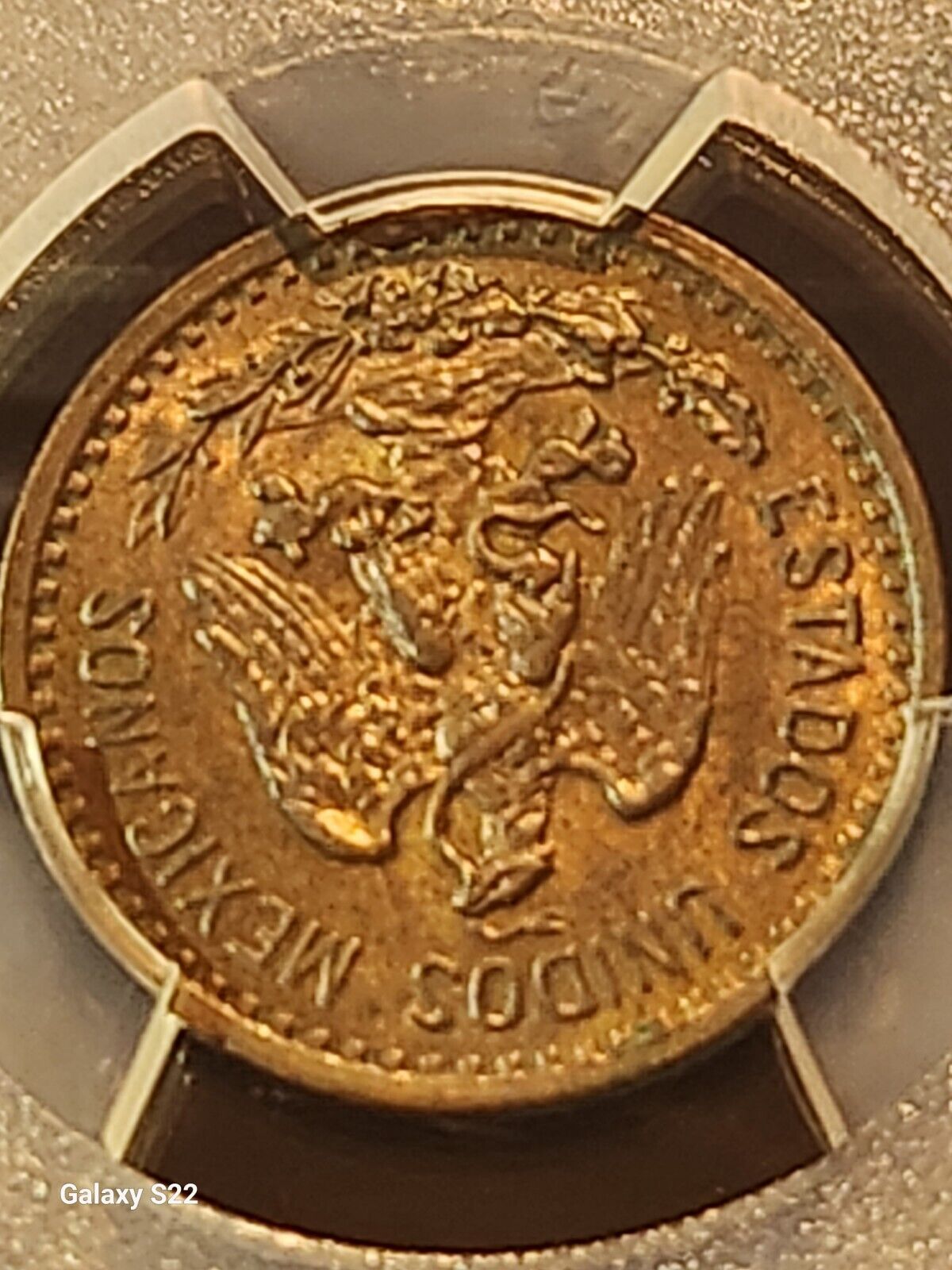 Picture 5 of 7