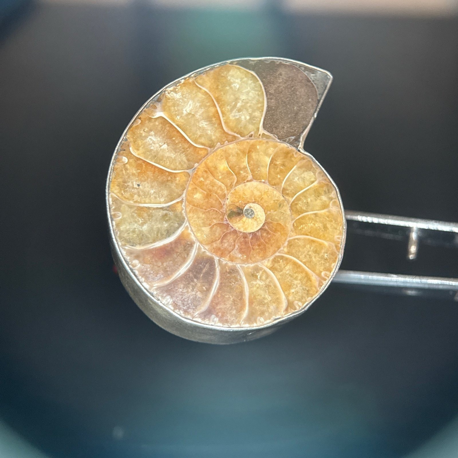 950 Silver Coiled Shell Ring - image 3