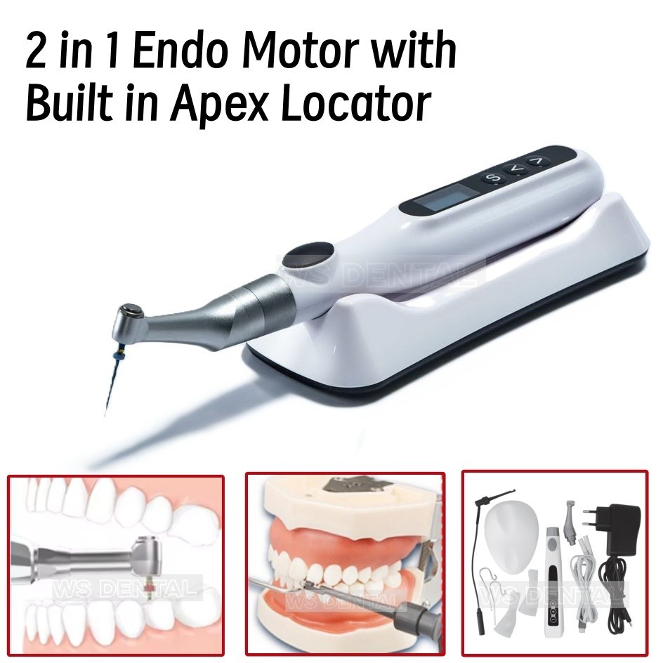2 in 1 Dental Endo Motor 16:1 Contra angle with Apex Locator Root Canal Tools