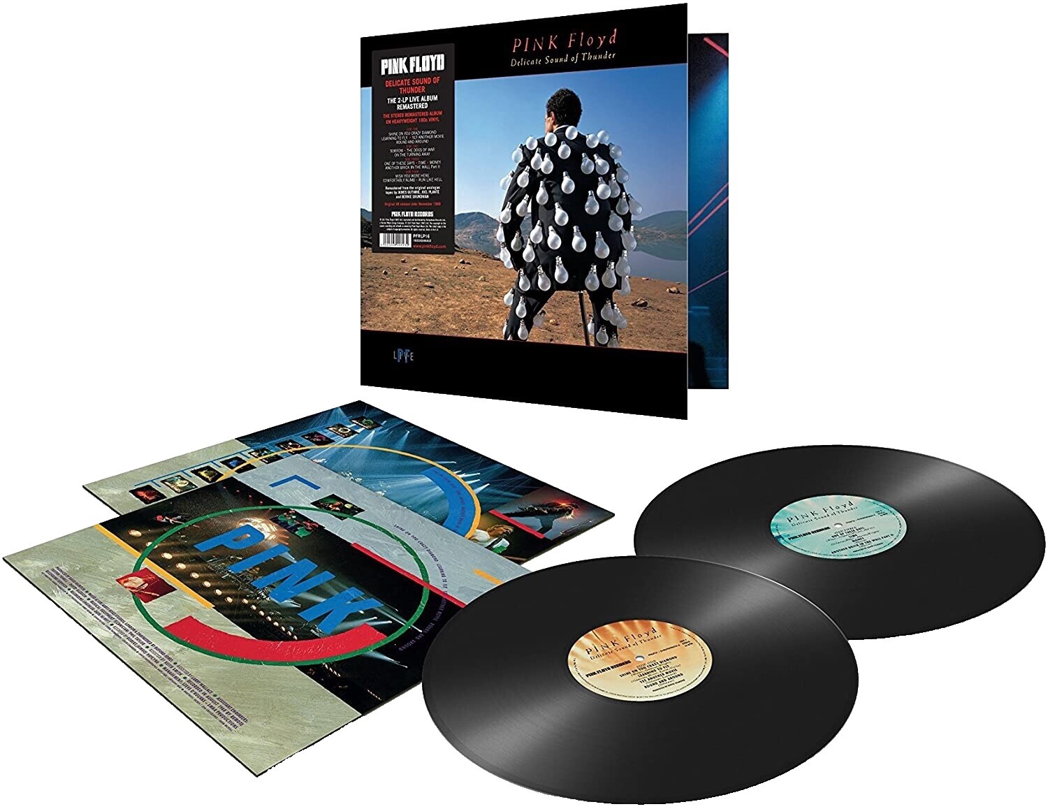Delicate Sound of Thunder Vinyl | eBay