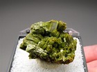 Thumbnail, Pyromorphite, Daoping Lead-Zinc Mine, Guangxi Province, China — photo 1