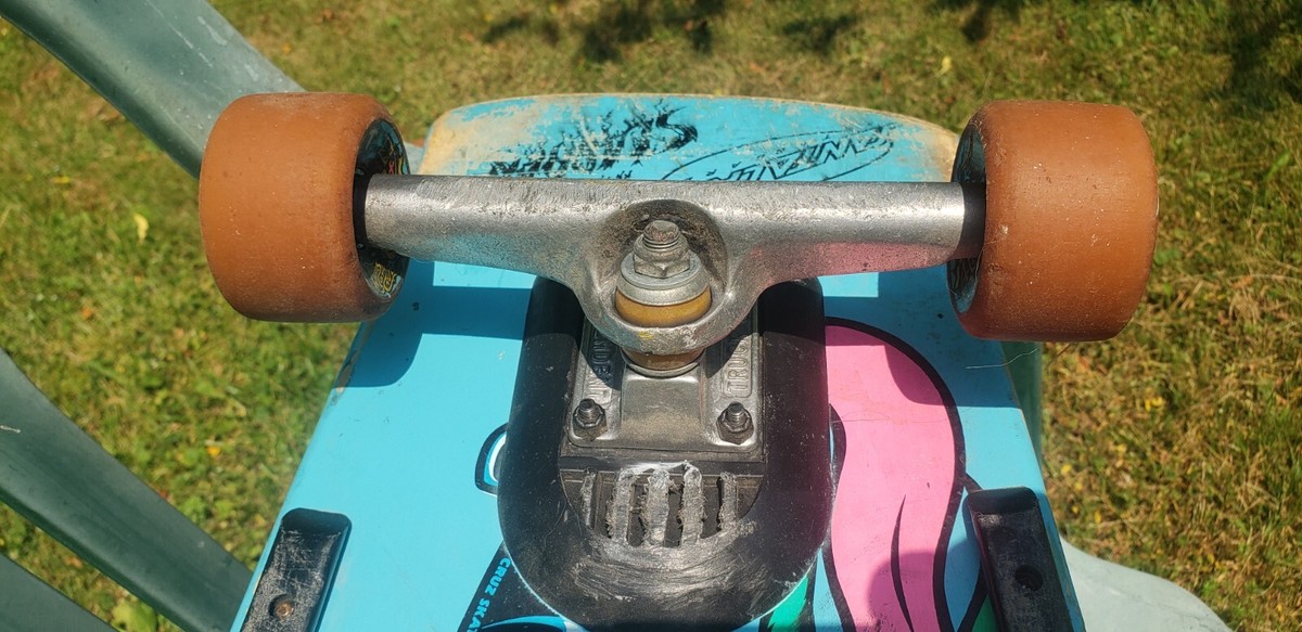 ローラ クルス ２３cm Minn Kota Deck Hand 40 Lower Roller (Large