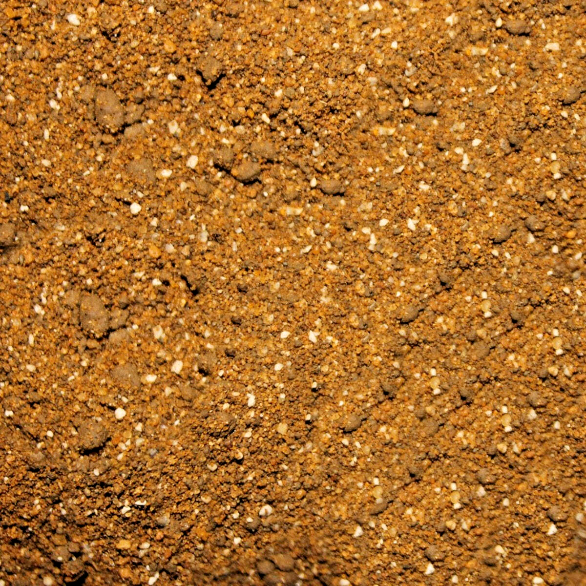 10L PETTEX TORTOISE SUBSTRATE : Reptile Soil Sand bpl Mediterranean Russian Pet