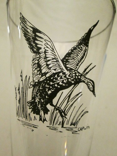 Paar Vintage Carwin Pilsner Biergläser - Spielvögel/Enten - Bild 5 von 8