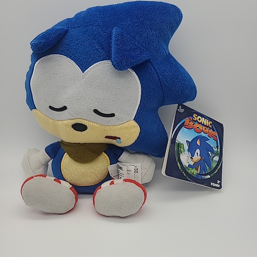 Rare Sonic Boom Sleeping Sonic The Hedgehog 10