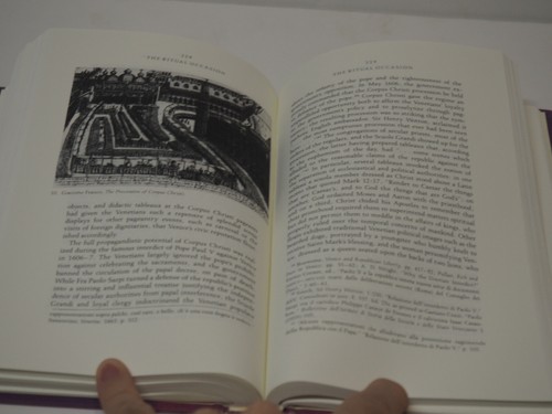 CIVIC RITUAL IN RENAISSANCE VENICE Edward Muir HCDJ 1st Edition VG Princeton - Picture 9 of 10