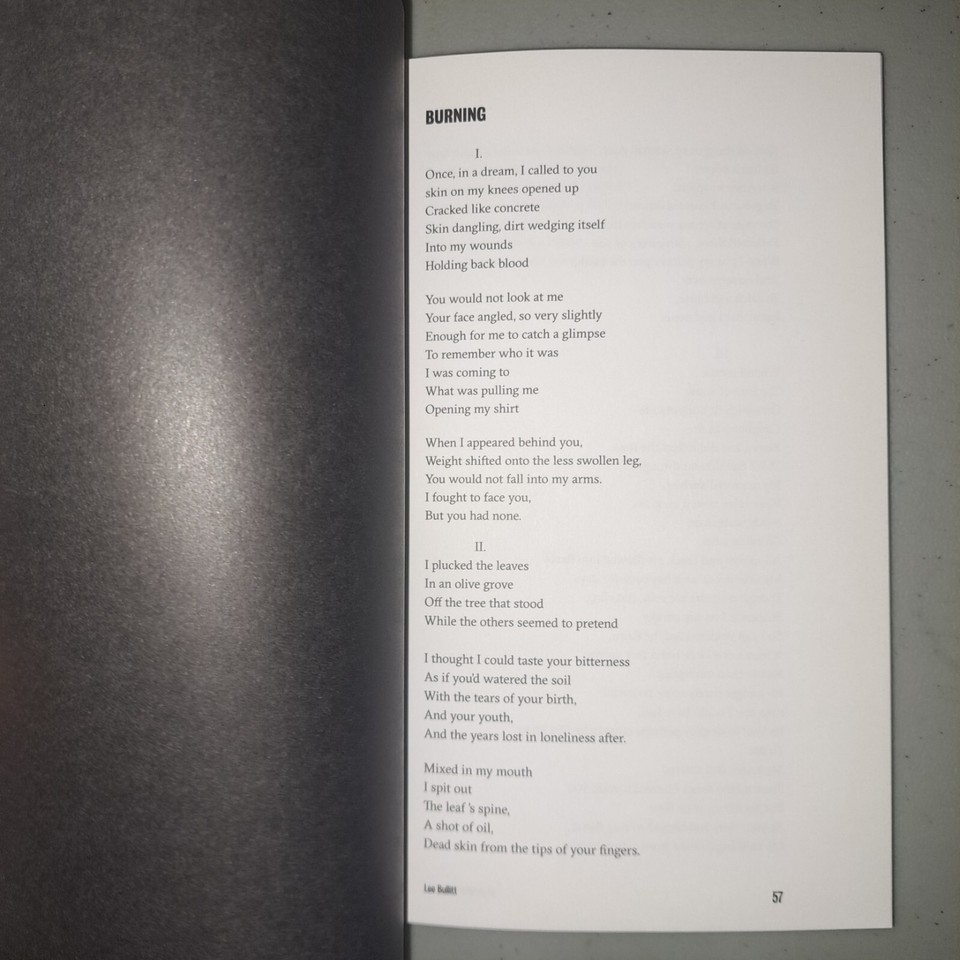 Heartworm Reader Issue No. 1 Wesley Eisold 2020 Paperback Poetry eBay