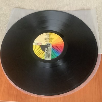 ENRICO RUGGERI: Il Falco E Il Gabbiano LP 1990 - CGD 9031 71718-1 ohne Cover