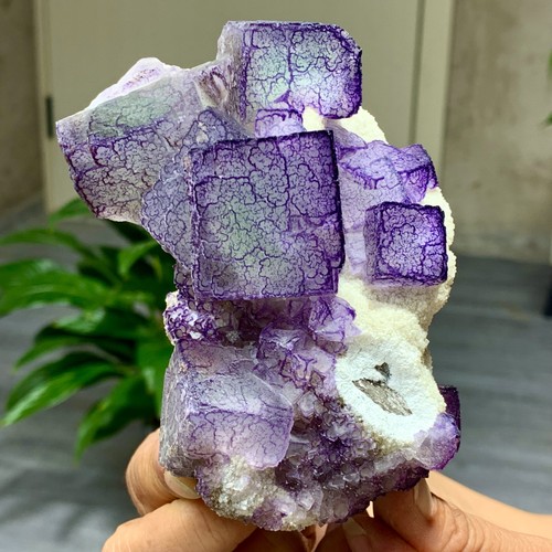 1,27 Pfund natürliches lila "QR-Code" Fluorit Cluster Kristall Mineral Probe/Guizhou - Bild 3 von 20