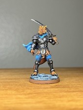 Painted Miniature Dragonborn Fighter, Pro Painted D D Pathfinder Miniature, DND