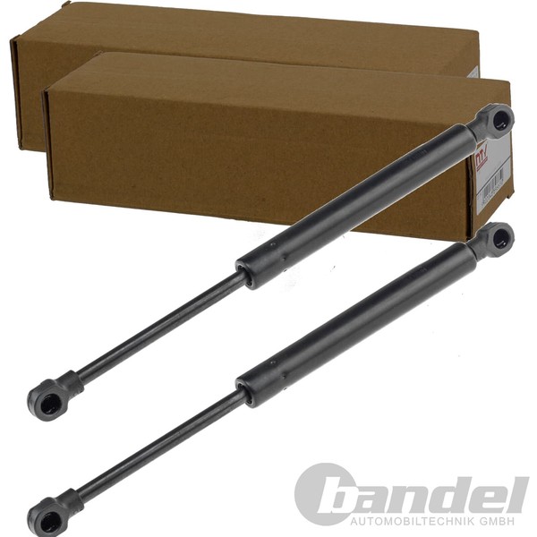 2X NTY Gasfedern KOFFERRAUM-LIFTER Passend FüR Peugeot 406 | AE-PE-025-image