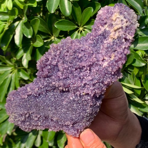 1.38LB Natural Grape Agate Chalcedony Crystal Mineral Sample - 第 5/13 張圖片