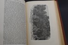 Foto 9 di 18