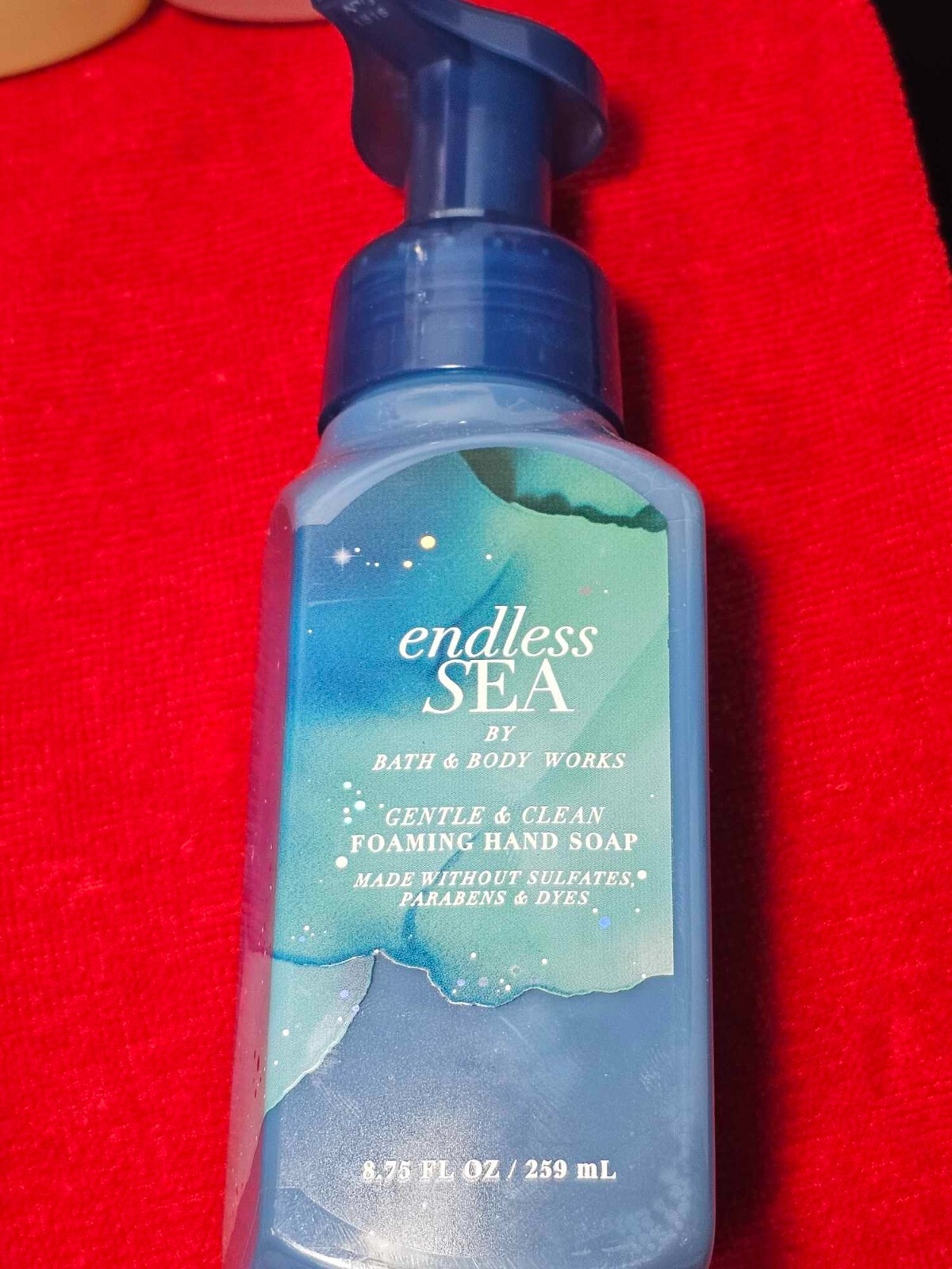 BATH AND BODY WORKS FOAMING HAND SOAP eBay