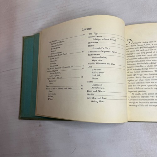 Dinosaurier Buch Leben im Wandel der Zeit Charles R. Knight 1946 HC EX Bibliothek - Bild 16 von 24