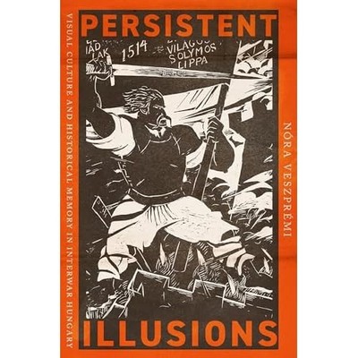 Persistent Illusions : Visual Culture and Historical Me -  NEW Nora Veszpremi 20