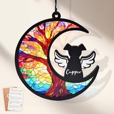 DIY Dog Memorial Gifts for Loss of Dog, 2-Layer Dog Angel Memorial Suncatcher...