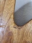 Picture 15 of 15